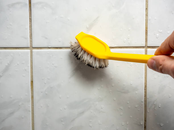 Best Local Mold Removal Service  in Brush Prairie, WA
