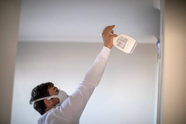 Best Mold Removal Company Near Me  in Brush Prairie, WA