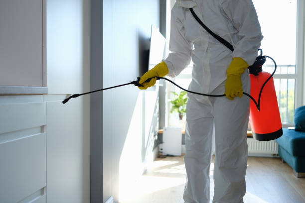 Best Professional Mold Removal  in Brush Prairie, WA